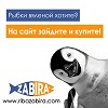 вяленая рыба в Болгарии с доставкой по ЕС